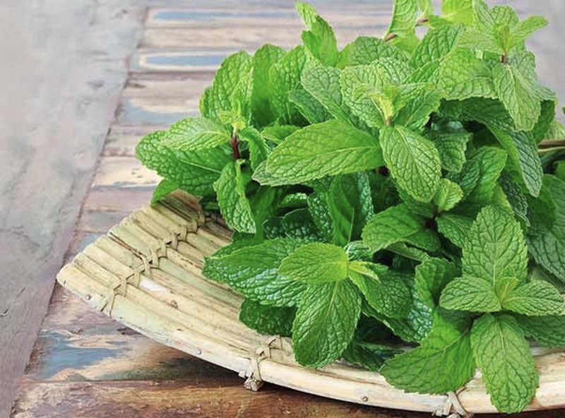 cách làm hết hôi miệng