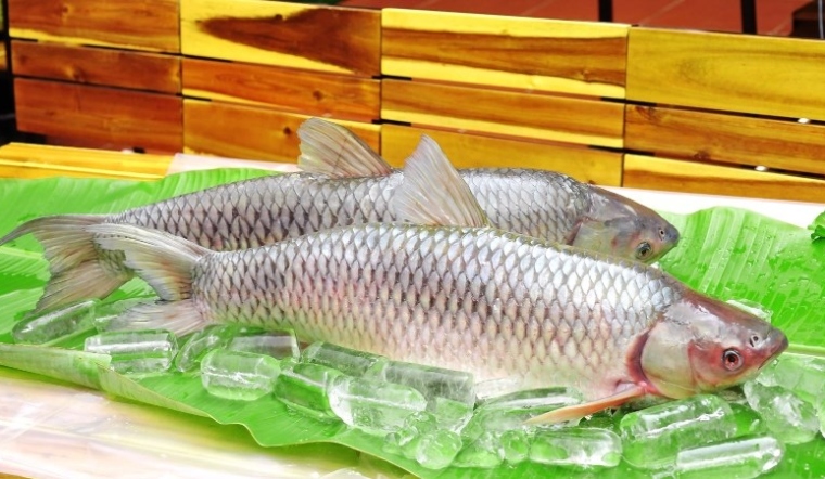 kho cá bằng nồi cơm điện