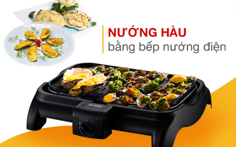 cách sử dụng lò nướng điện
