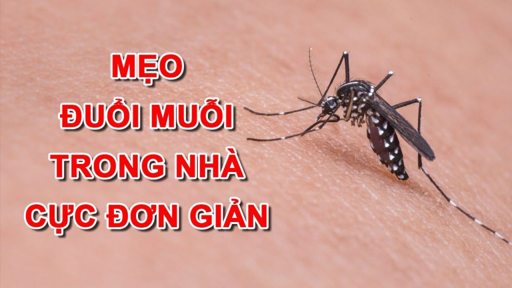 cách đuổi muỗi
