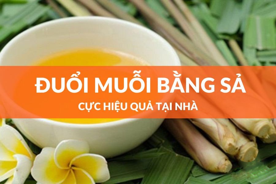 cách đuổi muỗi
