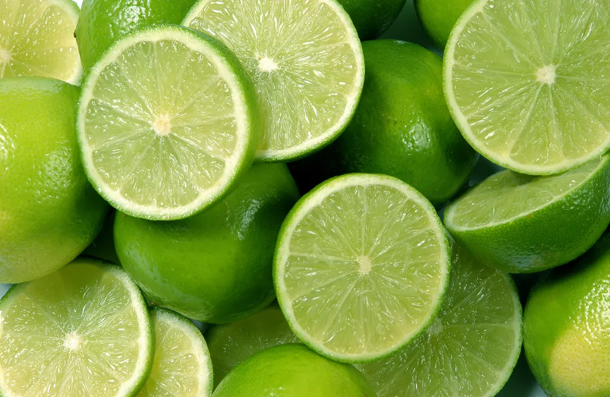 cách đuổi ruồi